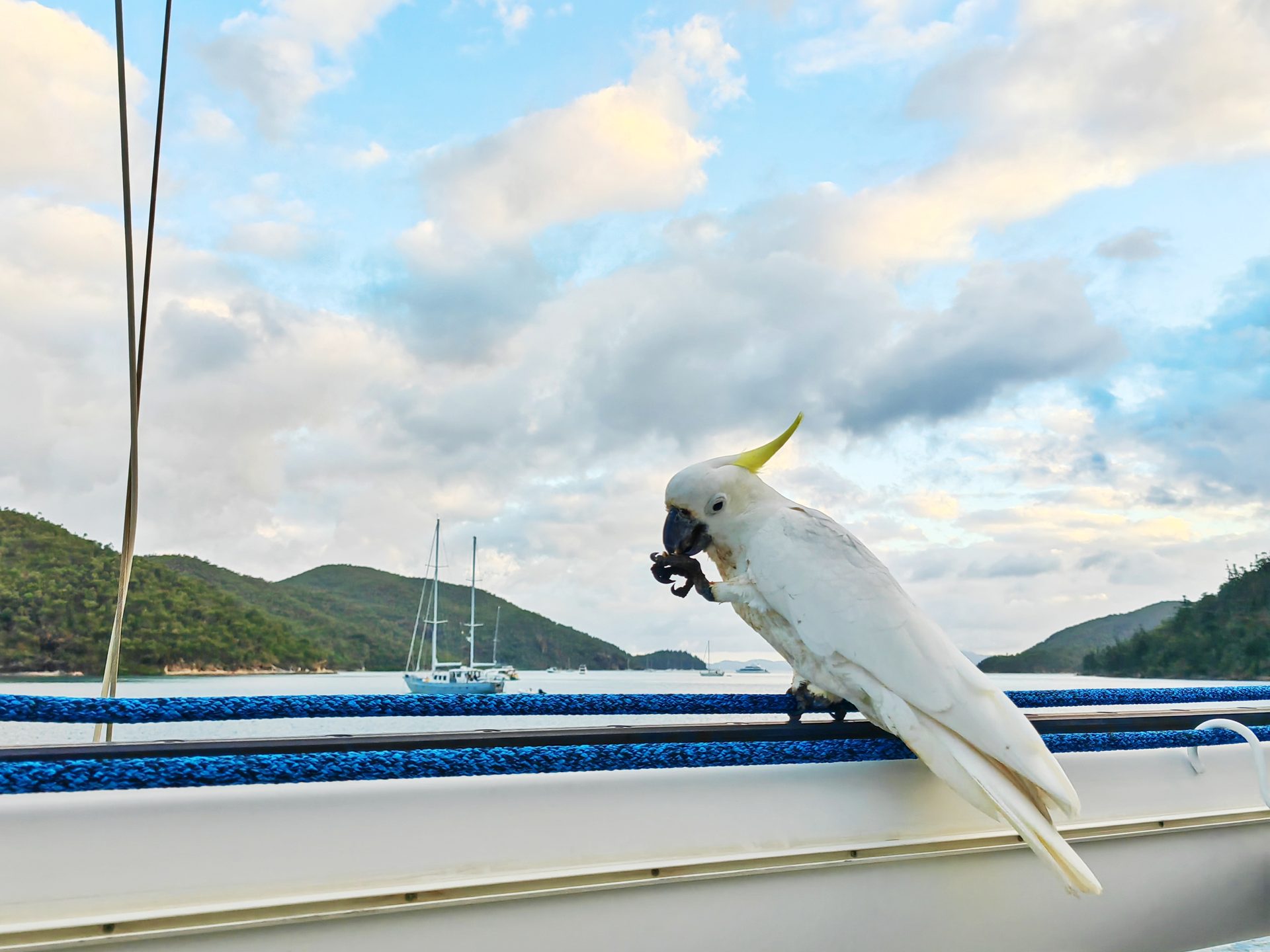 Этап 6: Малые Антильские острова